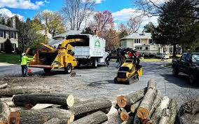 How Our Tree Care Process Works  in  Simpsonville, SC