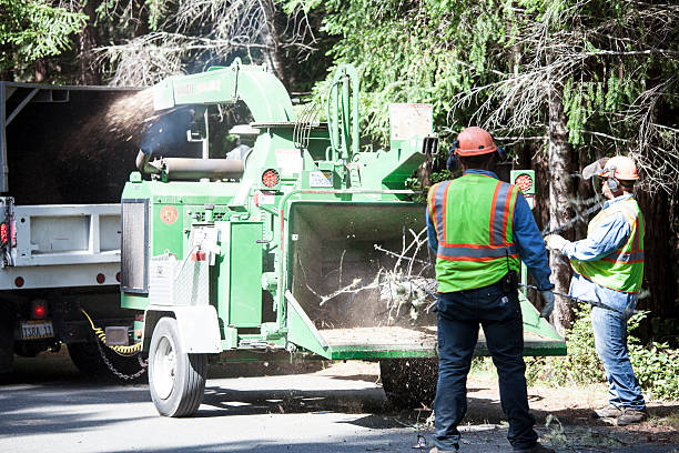 Best Firewood Processing and Delivery  in Simpsonville, SC