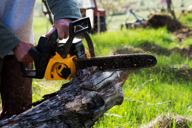 Best Tree Disease Treatment  in Simpsonville, SC