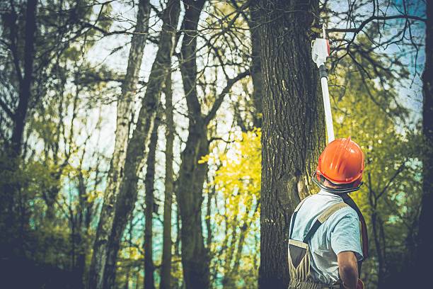 Soil Testing and Treatment in Simpsonville, SC